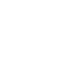 sketch